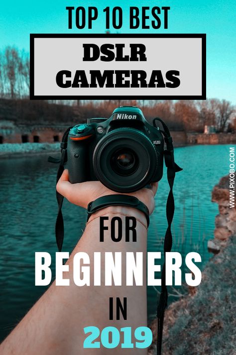 Camera Tips For Beginners, Lens Bags, Best Cameras For Photography, Dslr Quotes, Camera Vector, Camera Png, Camera For Photography, Cameras For Beginners, Cameras For Photography