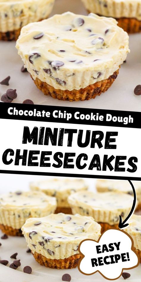 Cookie Bottom Dessert, Things To Make With Chocolate Chip Cookie Dough, Cookie Dough Mini Cheesecake, Recipes With Store Bought Cookie Dough, Cookie Dough No Bake Cheesecake, No Bake Cookie Cheesecake, Mini Chocolate Chip Cheesecakes, Mini Cookie Dough Cheesecake, No Bake Cookie Dough Cheesecake Bars