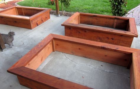 raised vegetable boxes Planter Boxes Diy, Redwood Planter Boxes, Vegetable Planter Boxes, Pool Planters, Large Wooden Planters, Vegetable Garden Beds, Vegetable Boxes, Raised Planter Boxes, Vegetable Garden Raised Beds