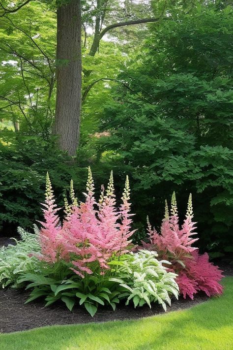 Ligularia Tall Shade Plants, Tall Perennial Flowers, Green Gardens, Outdoor House, Tiny White Flowers, Shade Gardens, Perennial Flowers, Backyard Plants, Tall Flowers