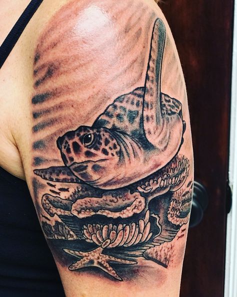 Sea turtle tattoo; coral reef, grey and black, swimming perspective Sea Turtle Coral Reef Tattoo, Sea Turtle Watercolor Tattoo, Coral Reef Tattoo, Turtle Watercolor Tattoo, Reef Tattoo, Cute Turtle Tattoo, Hawaiian Turtle Tattoos, Turtle Outline, Ninja Tattoo