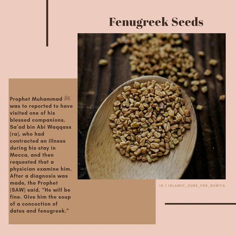 *Some of the major facts about this herb* . . 🔅Fenugreek, also known as *methi* , is a popular herb indigenous to Western Asia and the… Lung Infection, Throat Infection, Chronic Cough, Induce Labor, Western Asia, Fenugreek Seeds, Veggie Garden, Black Peppercorn, Lungs