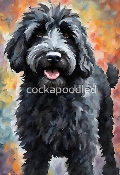 Black Cockapoo Drawing, How To Draw A Labradoodle, Black Labradoodle Painting, Black Poodle Painting, Doodle Dog Drawing, Black Cockerpoo, Dog Paintings Acrylic, Cockapoo Black, Labradoodle Painting