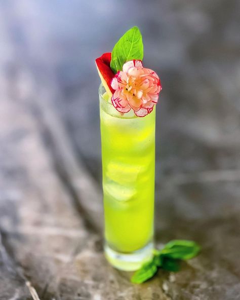 https://www.instagram.com/whats.marisa.drinking?igsh=MWF4eG9uY2pldDBubw== Peach Garnish, Muddled Basil, Basil Flower, Basil Smash, Bellini, Lemon Juice, Liqueur, Syrup, Gin