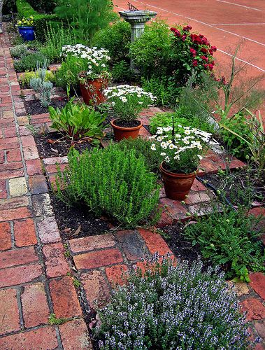 The Checkerboard Herb Garden/Even if it rains you can get to your herbs. I can do this with wall stones from the woods, and put it next to the stone patio. Herb Garden Ideas, Brick Path, Brick Walkway, Herb Garden Design, Have Inspiration, The Secret Garden, Plants And Flowers, Patio Stones, Garden Cottage