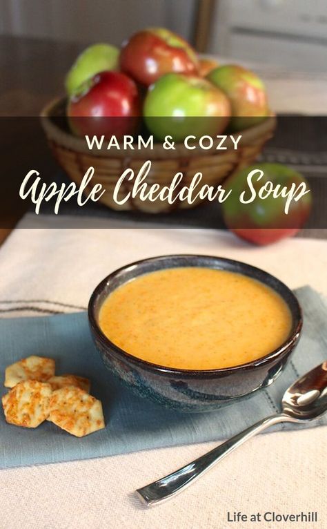 Apple Cheddar Soup - Life at Cloverhill Apple White Cheddar Soup, Creamy Maple Brie And Cheddar Apple Soup, Apple Cheese Soup, Cheddar Apple Soup, White Cheddar Apple Soup, White Cheddar And Apple Soup, Apple Cheddar Soup, Savory Recipes With Apples, Soup Dippers