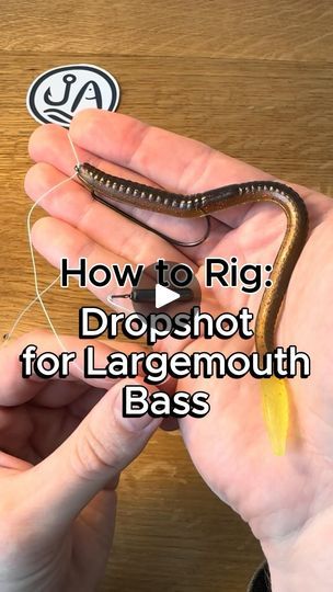 101K views · 7.5K reactions | What are your favorite drop shot tips and tricks?  #fishing #howto #fishingtips #largemouth #largemouthbass #bassfishing #largemouthbassfishing #smallmouthbass #diy #fishingbaits | Juran Adventures | juranadventures · Original audio Fishing Tips And Tricks, Drop Shot Fishing, Largemouth Bass Fishing, Smallmouth Bass, Drop Shot, Fishing Knots, Largemouth Bass, Camping Glamping, Fishing Bait