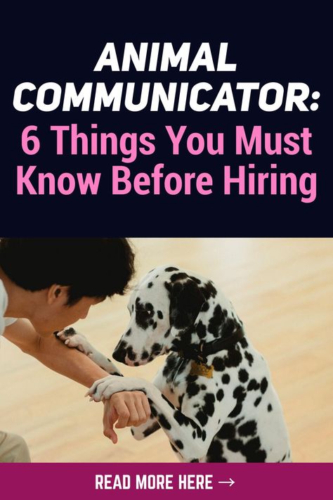 People might want to communicate with their beloved animals to understand them better. Before hiring an animal communicator, one must know some critical things for them to receive the most benefit from a professional consultation. #animalcommunicator #psychic #pets Signs Of Being Psychic, Psychic Ability, Pet Psychic, Animal Communication, Animal Behaviorist, Psychic Memes Funny, Psychic Memes, Behavior Problems, Psychic Development