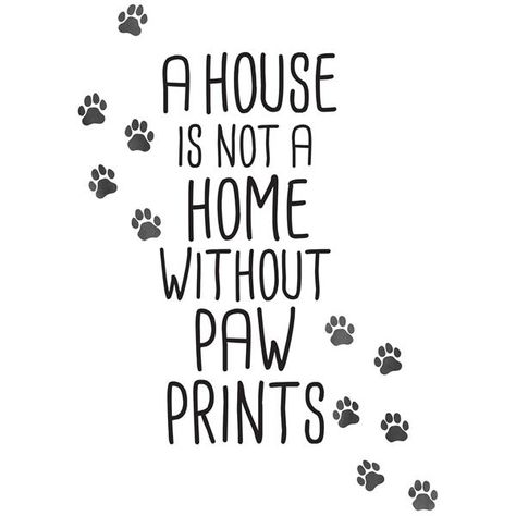 Paw Quotes, Paw Print Art, Dog Quotes Love, Quote Decals, Wall Decor Quotes, Wall Quotes Decals, Prints Wall, Dog Signs, Cat Wall