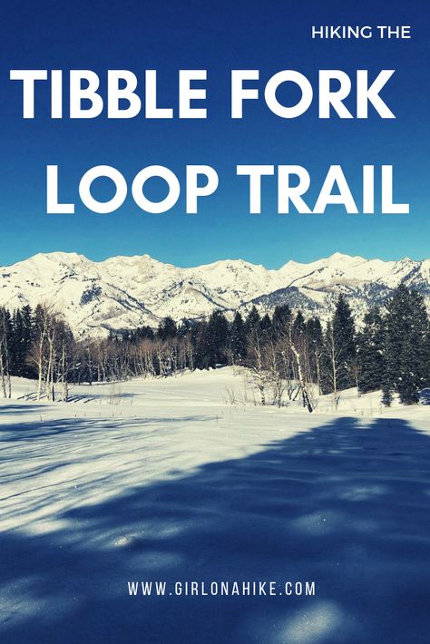 Hiking the Tibble Fork Loop Trail – Girl on a Hike Tibble Fork Reservoir, American Fork Canyon, Utah Vacation, Winter Road, Aspen Trees, Photo Op, Round Trip, Dog Friends, Outdoors Adventure