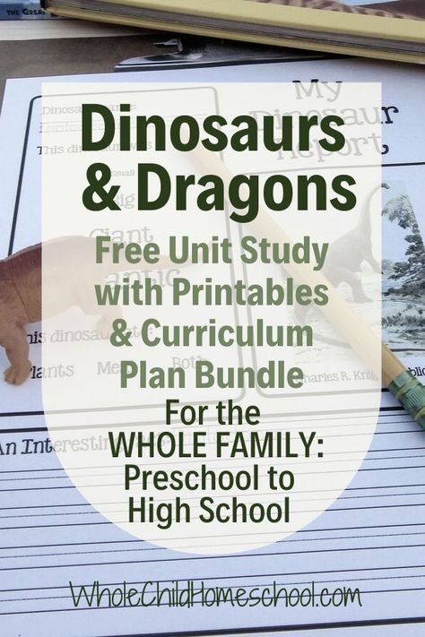 {FREE} bonus to go with the Dinosaurs & Dragons Unit Study. It's a complete curriculum plan bundle for the Dinosaurs and Dragons too unit. It includes the daily lesson plans schedule as well as all of the printables that go with the unit!!! Did I mention it's FREE!? And ALL the planning is done for you?! And there are lessons for PreK up to high school??!! #dinosaurs #dragons #homeschool #unitstudy Dinosaur Unit Study, Unit Studies Homeschool, Free Homeschool Curriculum, Homeschooling Tips, The Butterfly Effect, Daily Lesson Plan, Homeschool Lesson Plans, Homeschool Elementary, Curriculum Planning