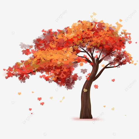 Autumn Tree Illustration, Autumn Tree Drawing, Fall Tree Drawing, Tree Clipart Png, Cartoon Grass, Plant Clipart, Fall Tree Painting, Trees Png, Fall Drawings