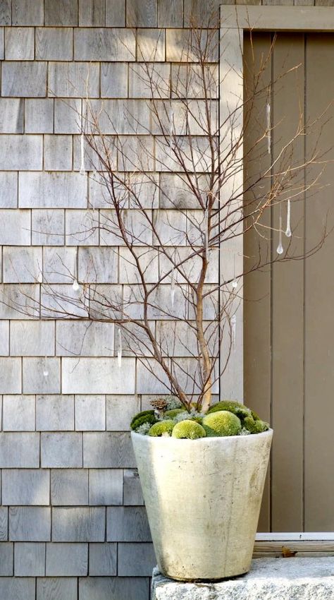 Winter Containers, Winter Container Gardening, Front Door Planters, Door Planter, Spring Planter, Winter Planter, Winter Porch, Christmas Planters, Outdoor Pots