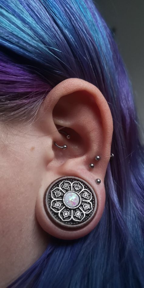 1 Inch Stretched Ears, Stretched Ears Aesthetic, Ears Aesthetic, Hippie Painting, Stretched Ears, Body Mods, Tattoos And Piercings, Body Jewelry, Piercings