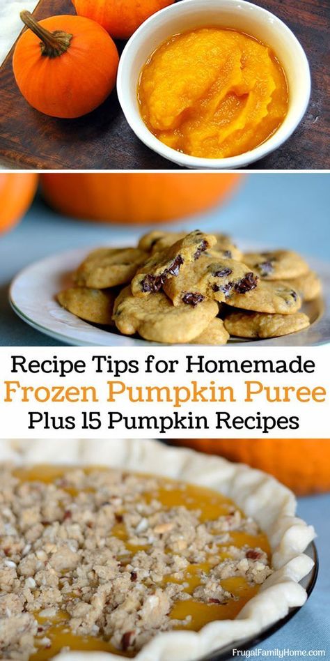 If you’ve ever had a pumpkin recipe not come out when using homemade pumpkin puree I have a tip that will help. Plus 15 pumpkin recipes just perfect to use your pumpkin puree in. My favorite is the first recipe. All of these recipes would make great fall or Halloween treats. Pumpkin Puree Recipes Healthy, Pureed Pumpkin, Puree Recipes, Pumpkin Puree Recipes, Pumpkin Quinoa, Tips For Cooking, Frozen Pumpkin, Cooking Pumpkin, Yummy Fall Recipes