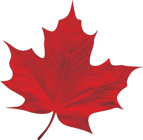 La Fête du Canada... On vous offre TOUTE une promotion pour célébrer cette occasion spéciale! < #BMP902 > À la vôtre! https://www.midi-pro.net/bulletins/902-190629.htm Maple Leaf Tattoos, Canada Leaf, Tiger Tattoo Sleeve, Color Flashcards, Leaf Designs, Leaf Images, Tiger Tattoo, Fall Ideas, Leaf Tattoos