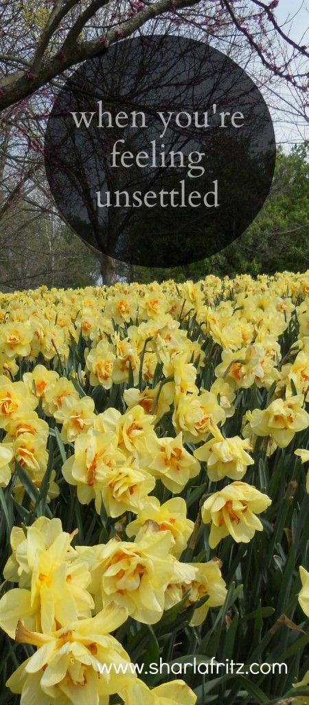 When we feel dissatisfied and unsettled, it may be because we forget that Jesus has already given us what we need the most. Feeling Unsettled, God's Army, Gospel Of Mark, Inspirational Articles, About Jesus, Christian Girl, Beautiful Flowers Garden, What I Need, Son Of God