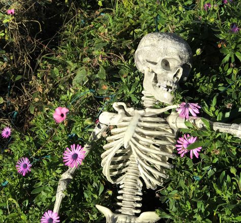 Skeleton Laying In Flowers, Mossy Skeleton Art, Skeleton With Flowers Growing Out Of It, Skeleton Aesthetic Icon, Skeleton Laying Down, Skeletons Aesthetic, Esqueleto Aesthetic, Skeleton Photography, Skeleton Images