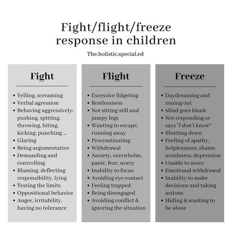 Freeze Nervous System, Automatic Nervous System, Freeze State Nervous System, Dysregulated Nervous System, Freeze Response, Emotional Management, Gestalt Therapy, Understanding Emotions, Limbic System