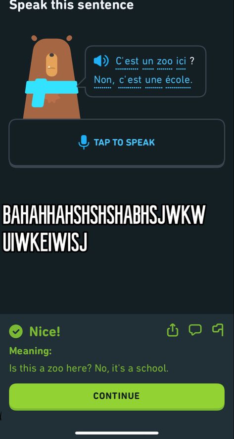 Duolingo Sentences, Funny Duolingo Sentences, Weird Duolingo Sentences, Funny Duolingo Pfp, Duolingo Funny Sentences, Cursed Duolingo, Duolingo Funny, Duolingo Aesthetic, Duolingo Memes