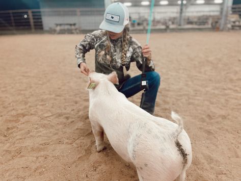 Pig Showing Aesthetic, Pig Show Outfits, Livestock Show Outfits Pigs, Pig Show Hairstyles, Showing Pigs, Show Pigs, Farm Senior Pictures, Livestock Photography, Livestock Showing