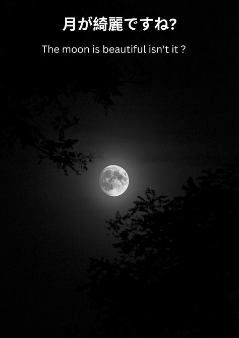 Japanese qoute The Moon Is Beautiful Isn't It Tattoo, The Moon Is Beautiful Isn't It In Japanese, The Moon Is Beautiful Isn't It Aesthetic, The Moon Is Pretty Isn't It, The Moon Is Beautiful Isn't It Quotes, The Moon Is Beautiful Isn't It Meaning, Isnt The Moon Lovely, The Moon Is Beautiful Isn't It, Isn't The Moon Lovely