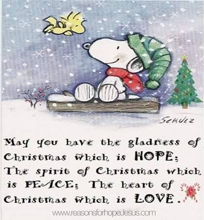 Charlie Brown Theology » Reasons for Hope* Jesus Snoopy Happy New Year, New Years Eve Pictures, New Years Eve Day, Cold Christmas, Crochet Christmas Ornaments Free, Christmas Card Sayings, Merry Christmas Gif, Christmas Landscape, New Year Pictures