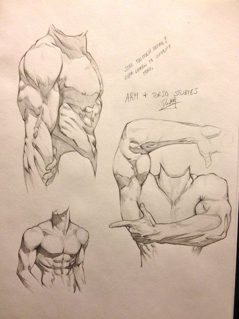 Torso Studies, Some Drawings, Realistic Drawing, Male Torso, Human Anatomy Drawing, Human Anatomy Art, Anatomy Sketches, Hand Reference, Gesture Drawing