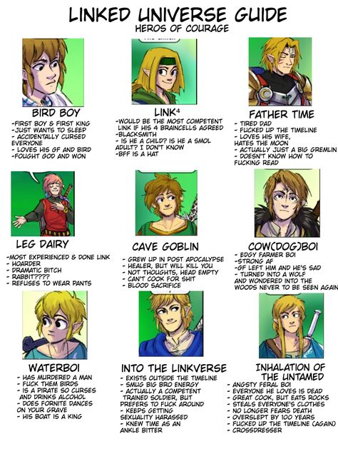 Oot Link, Loz Botw, Linked Universe, Botw Zelda, Legend Of Zelda Memes, Zelda Funny, Video Game Memes, Link Zelda, Zelda Art