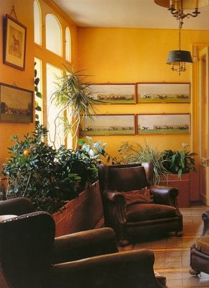 Would love to use this saffron/canary yellow somewhere - not necessarily as a wall paint. Yellow Walls Living Room, Yellow Bedroom Walls, Yellow Painted Walls, Interior Wall Colors, Wall Colours, Living Room Wall Color, Brown Rooms, Colorful Apartment, Plant Room