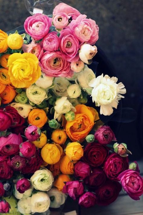 roses and ranunculus نباتات منزلية, Have Inspiration, Colorful Roses, Deco Floral, Delphinium, Arte Floral, Ranunculus, Beautiful Blooms, Event Styling