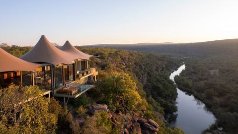 At This Sustainably-Minded Safari Lodge in South Africa, Wild Luxury Has a Light Footprint African Lodge, Lodges South Africa, Wilderness Reserve, Africa Luxury, The Veldt, Wooden Walkways, Wilderness Lodge, Living Roofs, Small Pool Design