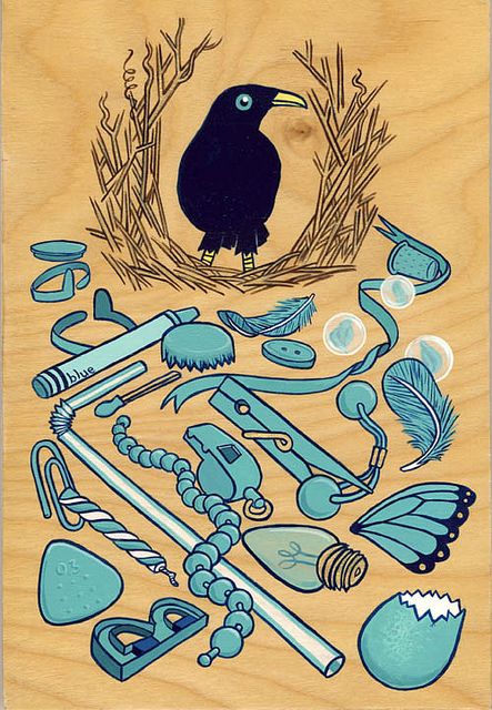 bowerbird on panel by rantipole, via Flickr Bower Bird, Really Cool Drawings, Roleplay Characters, Australian Birds, Love Illustration, Birds Tattoo, Bird Illustration, Crows, Affordable Art