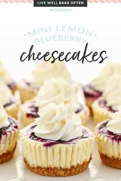 Mini Lemon Blueberry Cheesecake, Lemon Cheesecake Filling, Homemade Graham Cracker, Decadent Cheesecake, Recipe Cheesecake, Lemon Blueberry Cheesecake, Homemade Graham Cracker Crust, Dessert Mini, Biscuits Graham