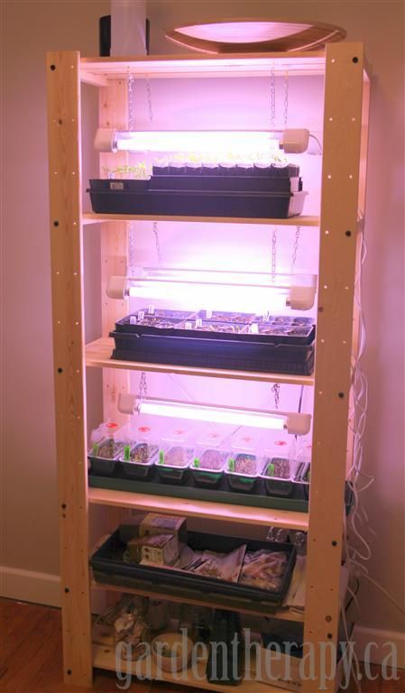 Seed starting shelf wih grow lights with lights on Homemade Hydroponic System, Seed Starting Containers, Vertikal Garden, Starting Seeds, Home Greenhouse, Starting Seeds Indoors, Indoor Vegetable Gardening, Clean Sweep, Survival Gardening