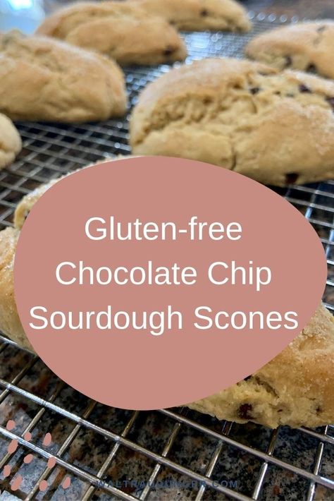 Gluten Free Sourdough Discard Scones, Gluten Free Sourdough Scones, Gluten Free Sourdough Recipes, Sourdough Discard Scones Cinnamon, Gluten Free Sourdough Discard Recipes, Gluten Free Chocolate Chip Scones, Sourdough Bread Benefits, Sourdough Scones Blueberry, Gluten Free Chocolate Chip Scones Recipe