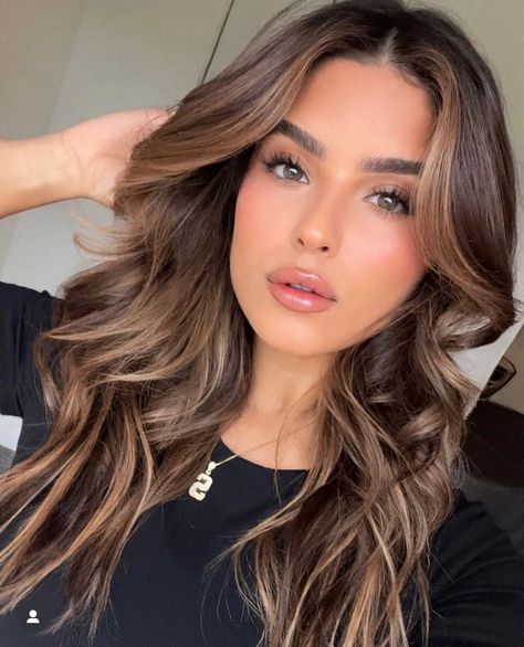 Olive Skin Hair Color, Hair Inspo Dark, Brown Hair Olive Skin, Olive Skin Hair, Wife Aesthetic, Hair Dye Ideas, Olive Skin Tone, Amber Eyes, Brown Hair Balayage