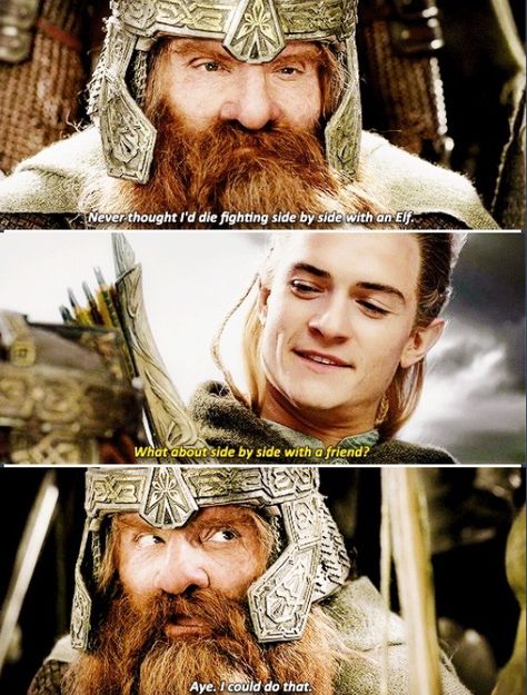 Side by side with a friend... Legolas And Gimli, Into The West, Nerd Humor, Bored At Work, Fellowship Of The Ring, Gifts For Photographers, An Elf, Jrr Tolkien, Legolas