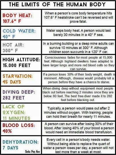 Human Body Temperature, Medical Facts, Survival Life Hacks, Survival Life, Medical Knowledge, Anatomy And Physiology, Survival Prepping, The Human Body, Body Heat