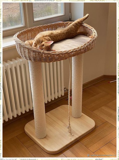 Cat Bed Ideas - All you need to conquer your day, night and world - Anything and Everything! - Click to visit TODAY! Cat Bed Ideas, Katt Diy, Katt Grejer, Diy Cat Bed, Cat Patio, Diy Cat Tree, Cat House Diy, Cat Pfp, Cats Diy Projects