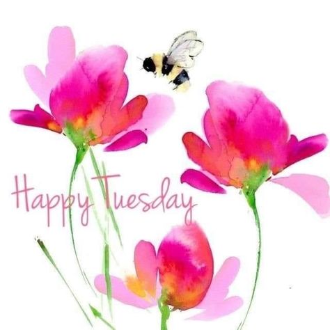 Happy Tuesday Morning, Good Morning Sister Quotes, Tuesday Greetings, Funny Good Morning Images, Hello Tuesday, Good Morning Sister, Happy Day Quotes, Good Morning Tuesday, Good Morning Flowers Rose