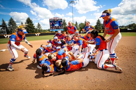 Gators Softball, Florida Gators Softball, Dream College, Florida Gators, Dream Team, Softball, Vision Board, Florida, Collage