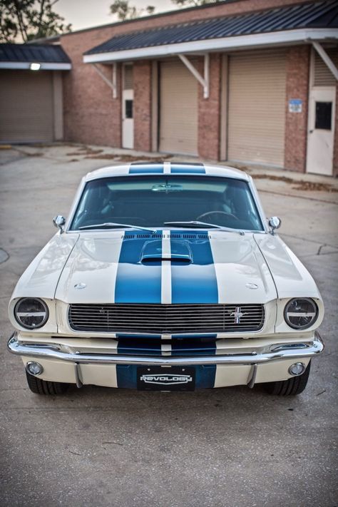 This car is Wimbledon White with Guardsman Blue LeMans stripes.  The owner is an avid Mustang and Shelby collector, and really wanted a car that accurately reflected the aesthetics of the original Shelby. White Mustang, Shelby Gt350, 1966 Ford Mustang, Shelby Gt, Vacuum Packaging, Carroll Shelby, Ford Shelby, Mustang Fastback, White Car