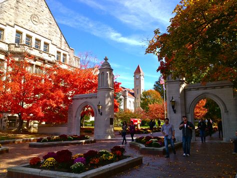 Indiana University Campus | Sample Gates on the Indiana University campus in fall. Photo by ... Indiana State University, Bloom Magazine, Campus Architecture, University List, Indiana University Bloomington, Usa University, University Architecture, Bloomington Indiana, Going To University