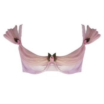 Silk Bra, Pixie Hollow, Satin Bra, Embroidered Leaves, Silk Tulle, Cute Lingerie, Chiffon Flowers, Pretty Lingerie, Miss Dior