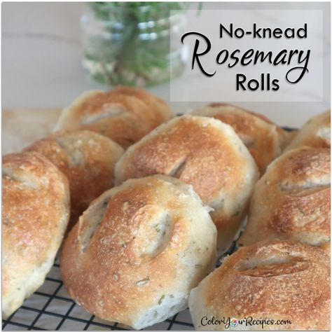 Simple No-Knead Ciabatta • Color Your Recipes Rosemary Rolls, Rye Sourdough, Food Magic, Quick Smoothies, Rolls Easy, Rosemary Bread, Danish Dough, Knead Bread Recipe, Bread Rolls Recipe