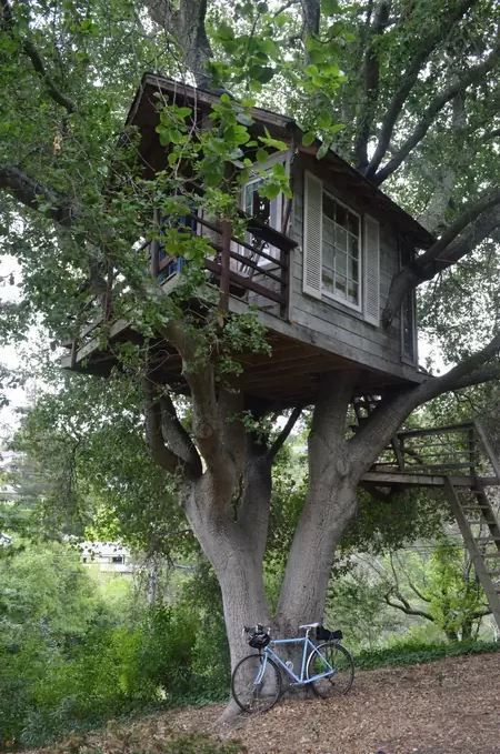 Octagon Picnic Table, Unique Airbnb, Beautiful Tree Houses, Building A Treehouse, Tree House Plans, Tree Fort, Tree House Diy, Cool Tree Houses, Airbnb Rentals