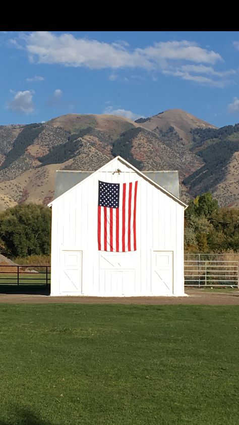 American Flag On House Exterior, American Flag On House, Flag On House, Anerican Flag, Home Basketball Court, Metal American Flag, American Sweetheart, Barn Apartment, Country Ideas