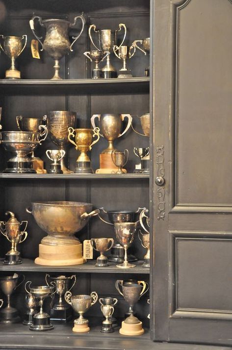 Eye For Design: Decorating With Vintage Trophy Cups Vintage Trophies, Old Trophies, Vintage Trophy, Salvaged Decor, Trophy Collection, Trophy Display, Silver Display, Philosopher's Stone, Decorating A New Home