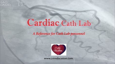 Cardiac Cath Lab Nurse, Lab Reference, Cardiac Cath Lab, Cath Lab Nursing, Nursing Cardiac, Cardiac Cath, Cath Lab Nurse, Anatomy Images, Coronary Artery